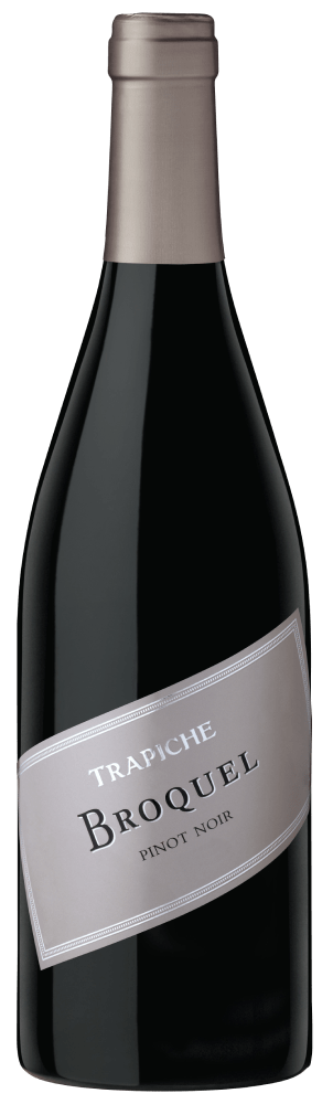 Broquel – Pinot Noir 750mL