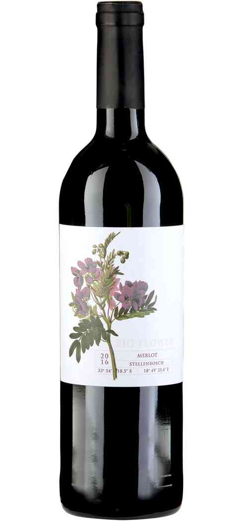 Big Flower – Merlot 750mL