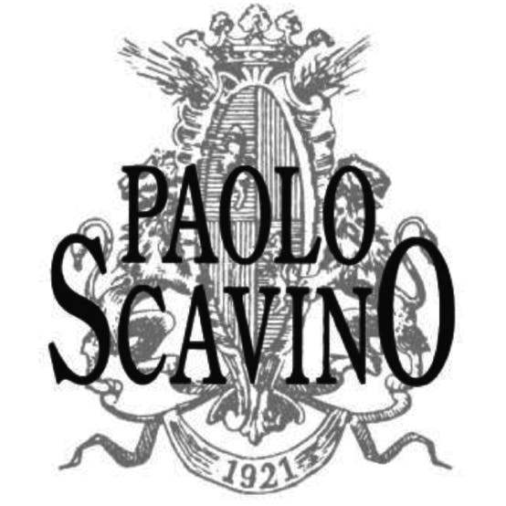 Paolo Scavino