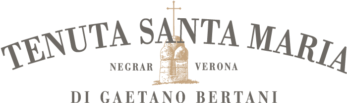 Tenuta Santa Maria